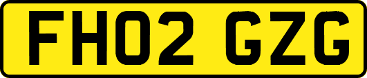 FH02GZG