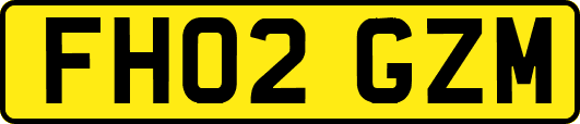 FH02GZM