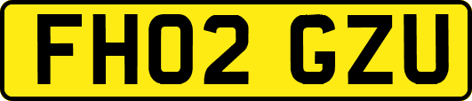 FH02GZU