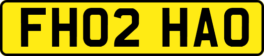 FH02HAO