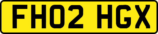 FH02HGX