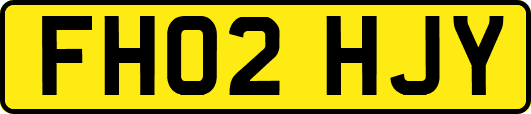 FH02HJY