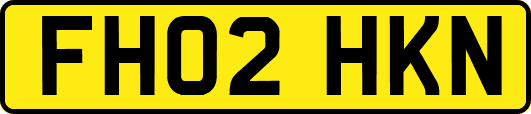 FH02HKN
