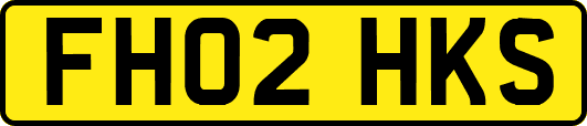 FH02HKS