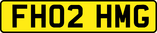 FH02HMG