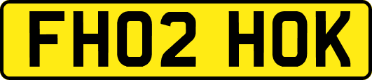 FH02HOK