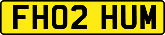 FH02HUM