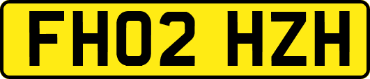 FH02HZH