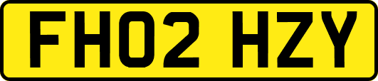 FH02HZY