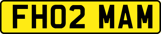 FH02MAM