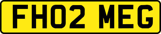FH02MEG