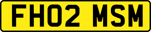 FH02MSM