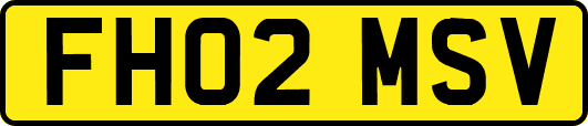 FH02MSV