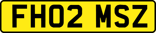 FH02MSZ