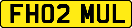 FH02MUL