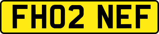 FH02NEF