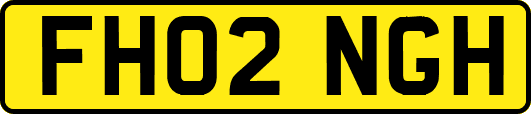 FH02NGH
