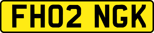 FH02NGK