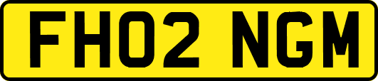 FH02NGM