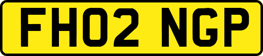 FH02NGP