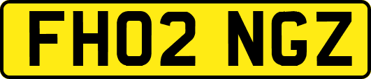 FH02NGZ