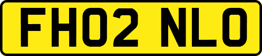 FH02NLO