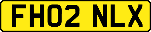 FH02NLX