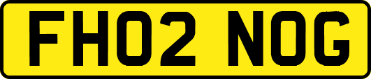 FH02NOG