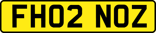 FH02NOZ