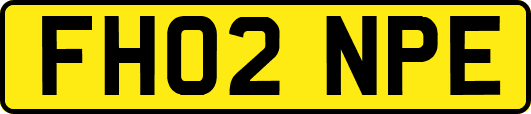 FH02NPE