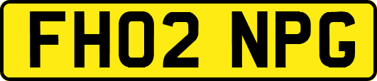FH02NPG