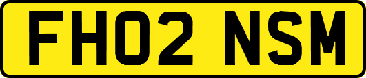 FH02NSM