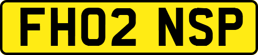 FH02NSP