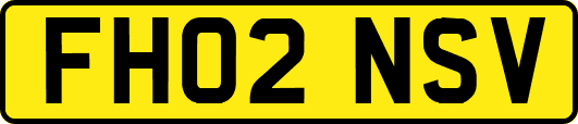 FH02NSV