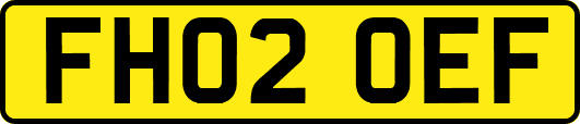 FH02OEF