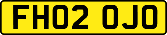 FH02OJO