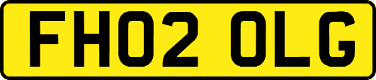 FH02OLG