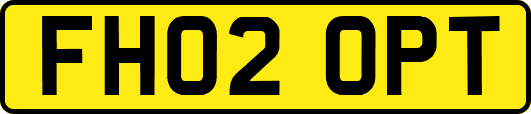 FH02OPT