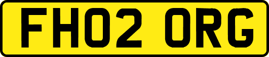 FH02ORG