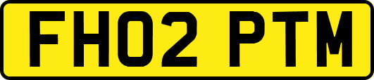 FH02PTM
