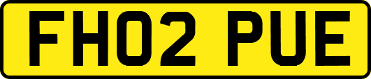 FH02PUE