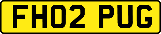 FH02PUG