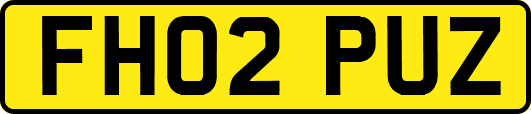 FH02PUZ