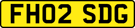 FH02SDG