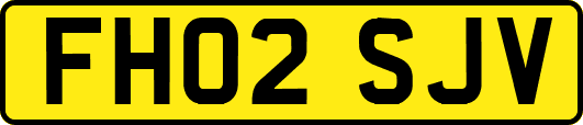 FH02SJV