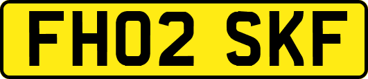 FH02SKF