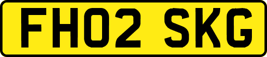 FH02SKG