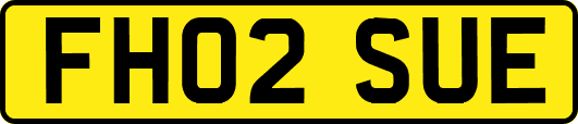 FH02SUE