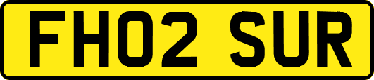 FH02SUR