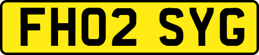 FH02SYG